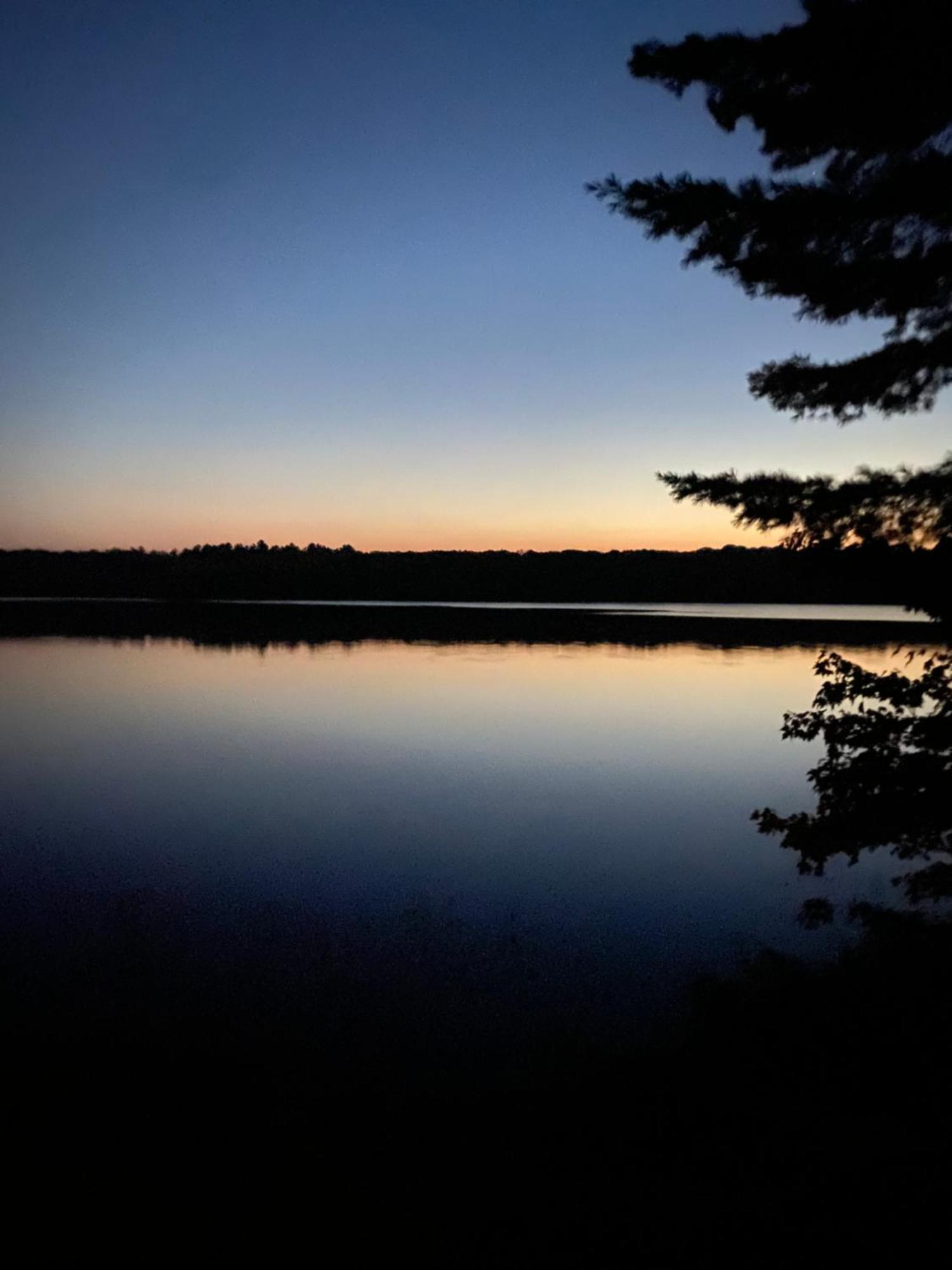 Blue Spruce Bed And Breakfast Muskoka Gravenhurst Exteriör bild