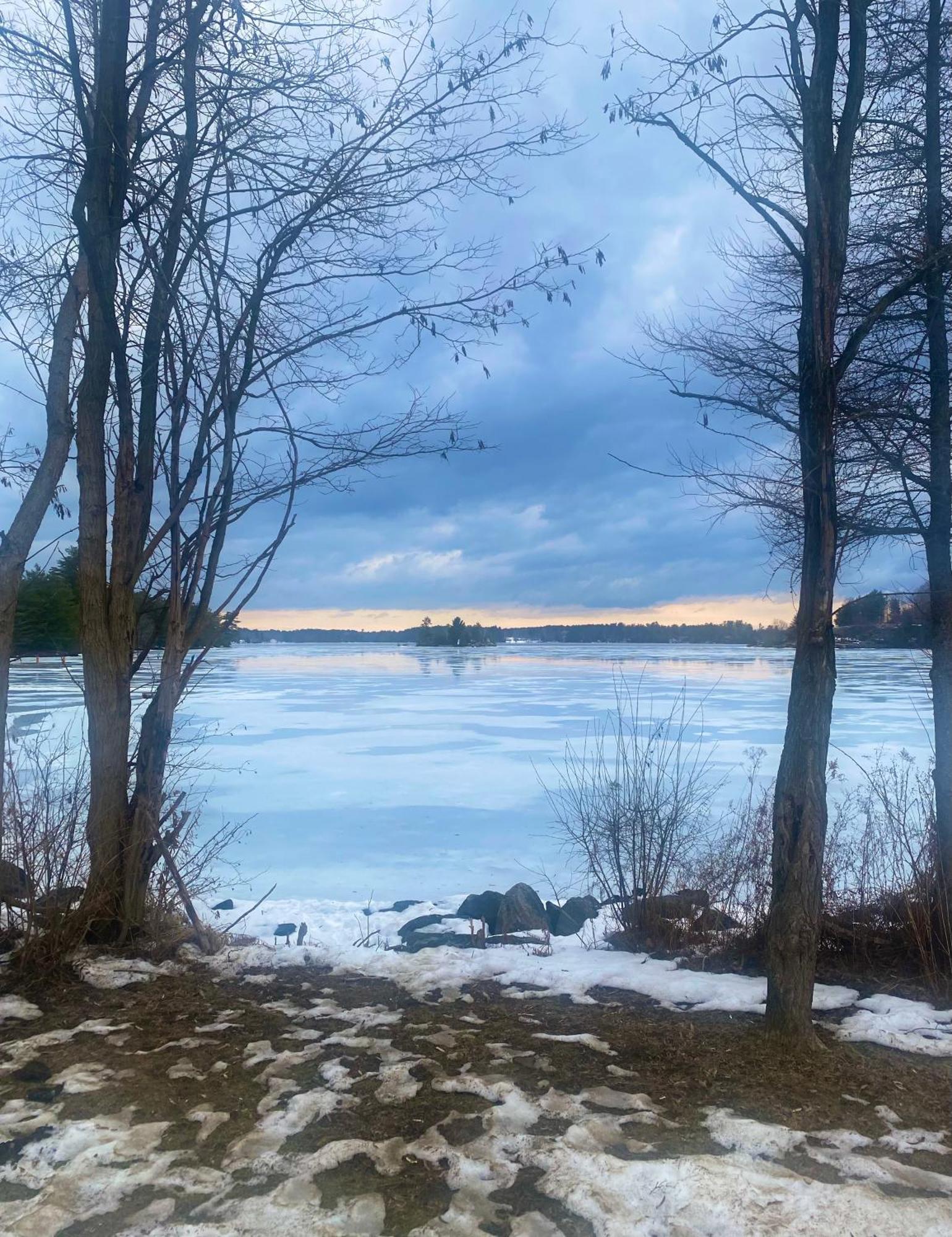 Blue Spruce Bed And Breakfast Muskoka Gravenhurst Exteriör bild