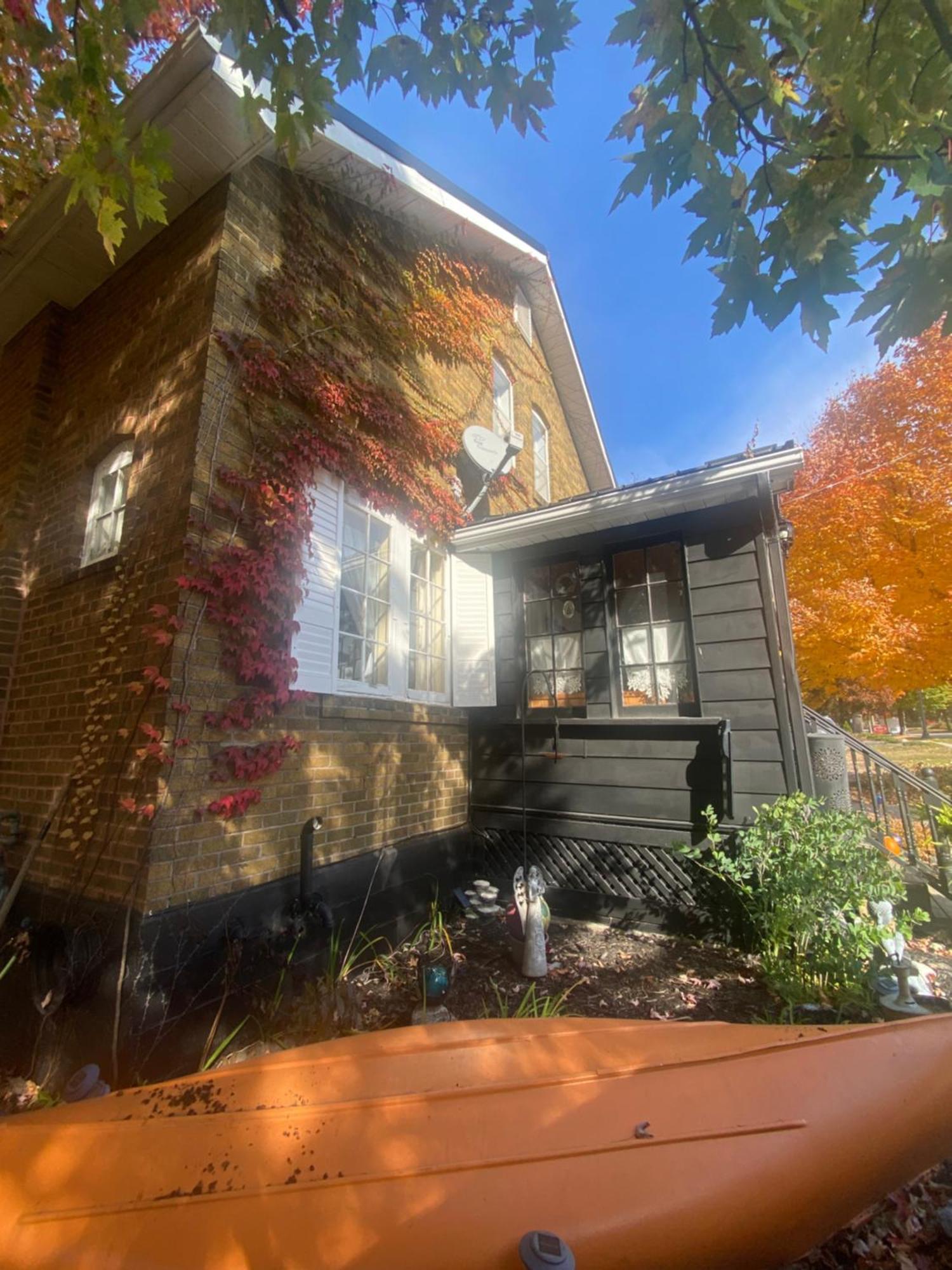 Blue Spruce Bed And Breakfast Muskoka Gravenhurst Exteriör bild