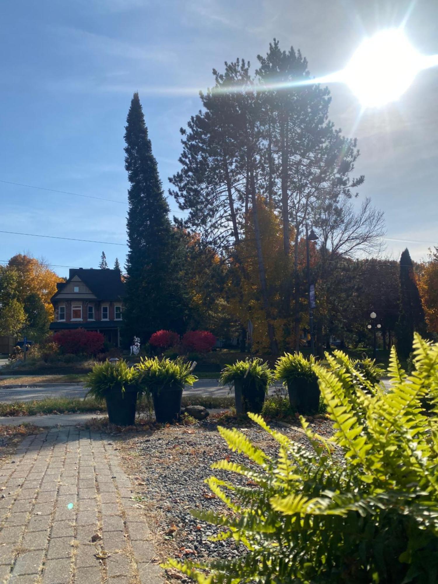 Blue Spruce Bed And Breakfast Muskoka Gravenhurst Exteriör bild