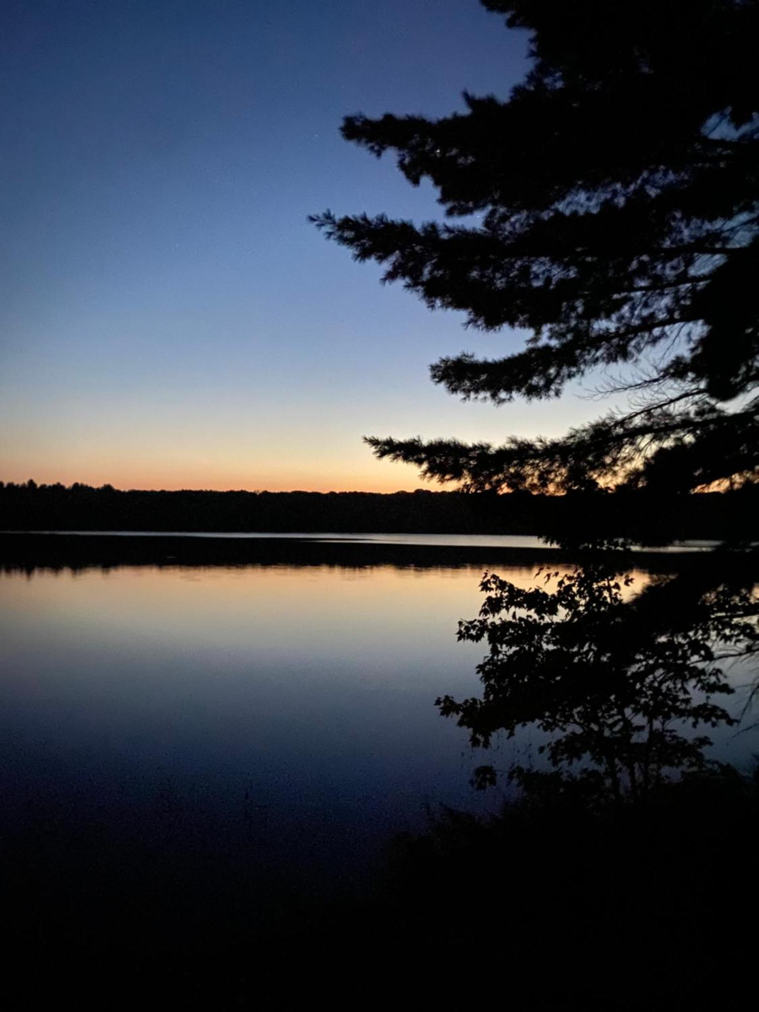 Blue Spruce Bed And Breakfast Muskoka Gravenhurst Exteriör bild